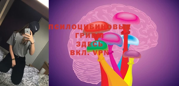 ПСИЛОЦИБИНОВЫЕ ГРИБЫ Киренск